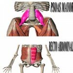 ENTRENADOR PERSONAL VALENCIA ENTRENADOR PERSONAL VALENCIA