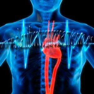 Entrenador Personal Valencia Entrenador Personal Valencia