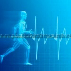 Entrenador Personal Valencia Entrenador Personal Valencia